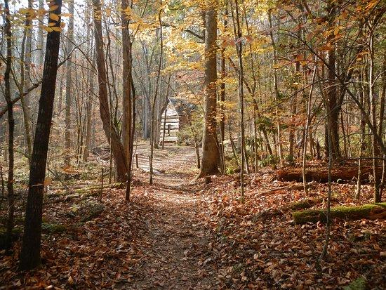 Fighting Creek Trail