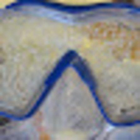 photo of stevepoptones