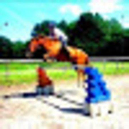 photo of nicolepB1374OW