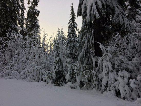 Willamette Pass Resort