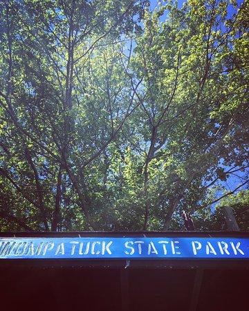 Whitney and Thayer Woods