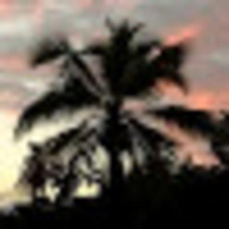 photo of R3401KXkathyl