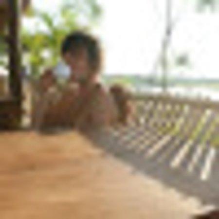 photo of B5368EPmichaeld