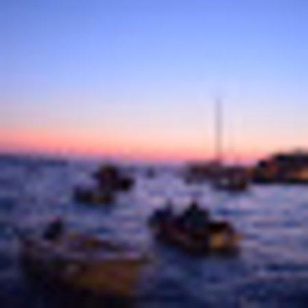 photo of travbug2019