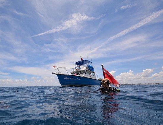 Deep Obsession Charters