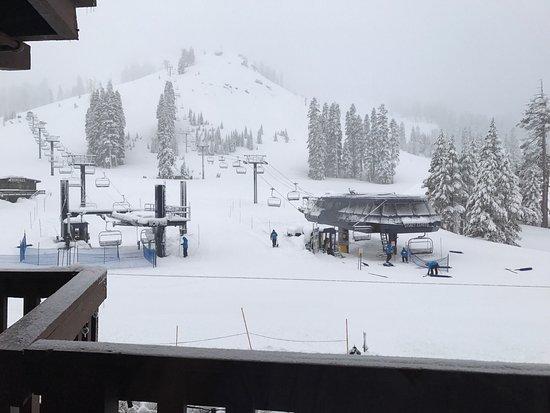 Photo by TaktLosGatos