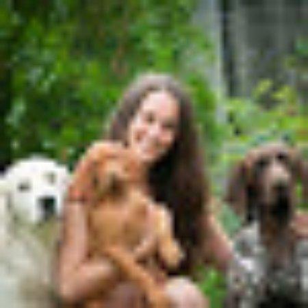 photo of 277orsolyan