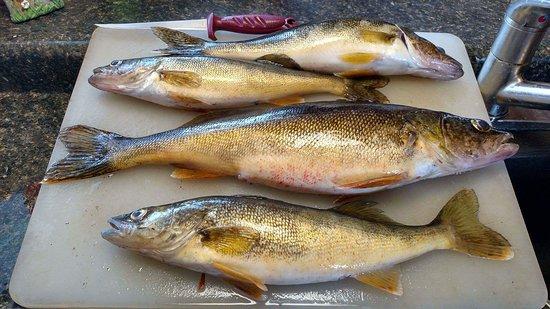 Sherman's Resort & Campground