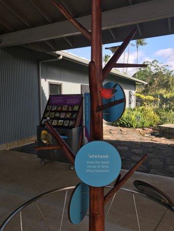 Hawai'i Wildlife Center