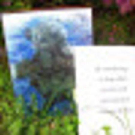 photo of Cyndyi M
