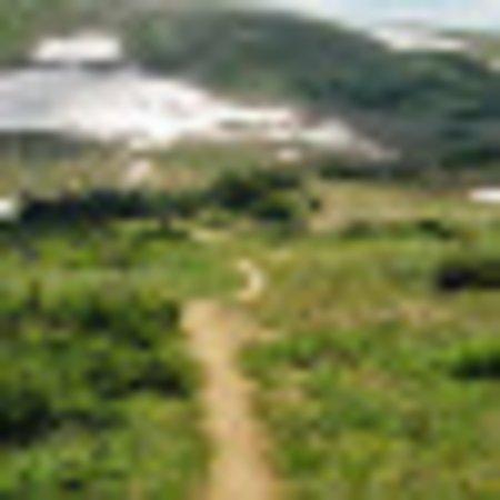 photo of Charlotte L