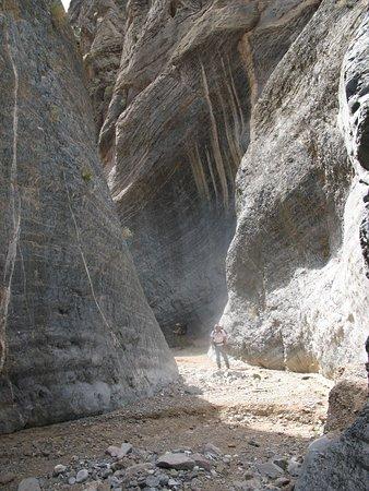 Cottonwood & Marble Canyon Loop