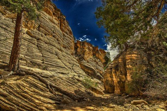 Lick Wash Slot Canyon