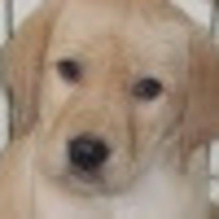 photo of gemmamA2479MJ