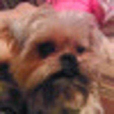 Photo of Thom H