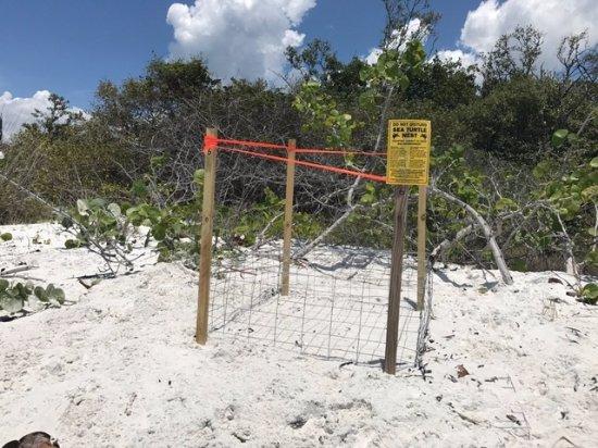 Naples Beach Adventures