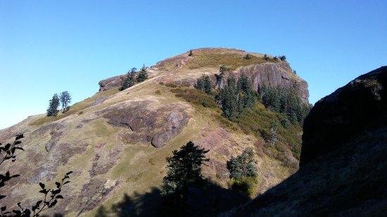 Saddle Mountain State Natural Area