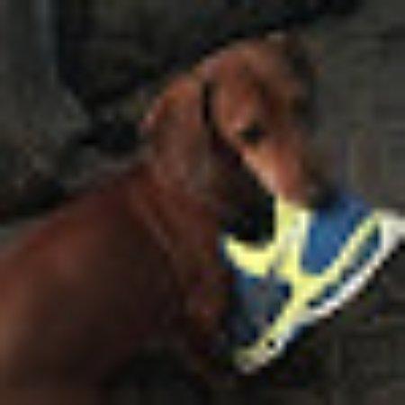 photo of WolfTravelers