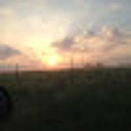 Photo of janetpX2970OS