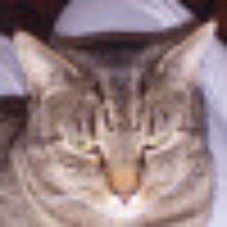 Photo of J3192YQleslies