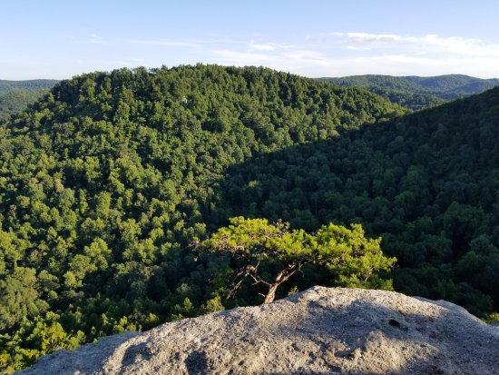 Photo by BradandStacy41