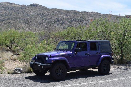 Plumb Crazy Wrangler Rides