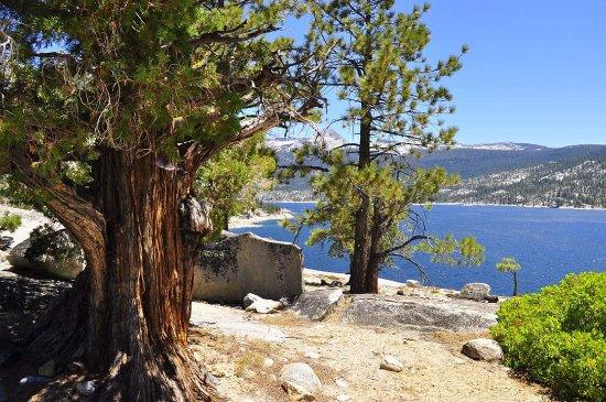 Photo by rshawcityman2