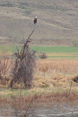 Fruitgrower's Reservoir aka Hart's Basin