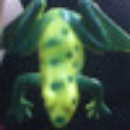 Photo of Tony M