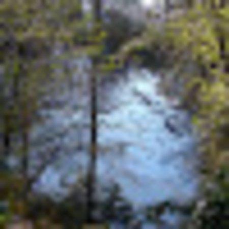 Photo of V2265EMdavidy