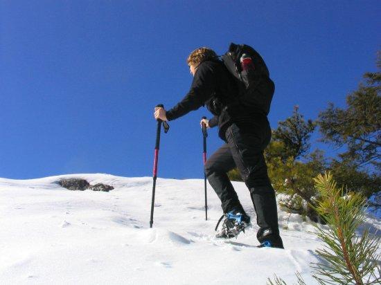 Abram Hewitt State Park