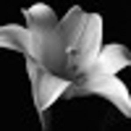 photo of mickeyslips71
