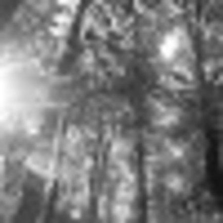 photo of N6541IQkatiea