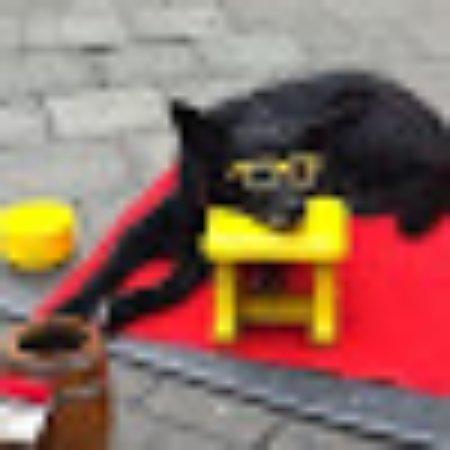 photo of emiliano-alc