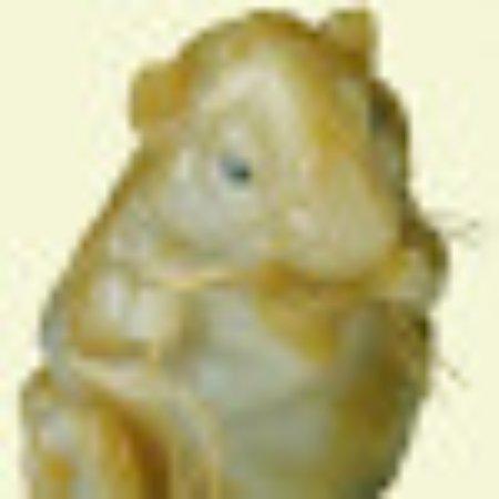 photo of O2588UTjohnf