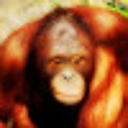 photo of tomdubliner