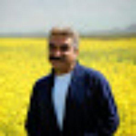 photo of afshinsahra