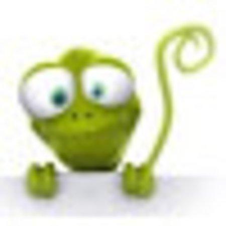 photo of anasH4987BZ