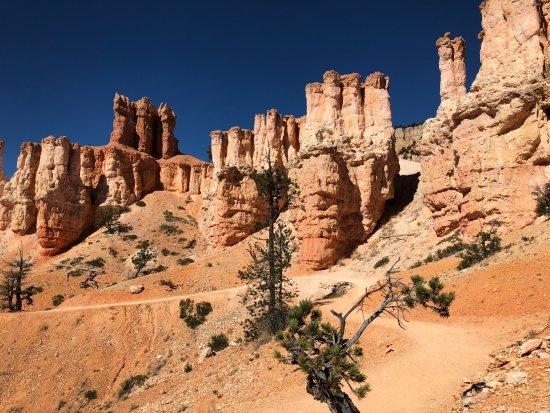 Aspen Hollow Bed and Breakfast