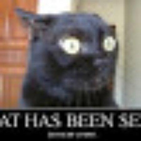 photo of JanSanAntonio