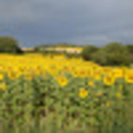 photo of maryandianroberts