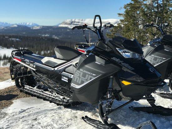 Tracked Out Adventures