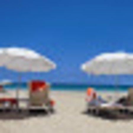 photo of pickyeatersx