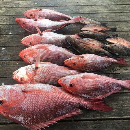 Barlow's Charters and Guide Services