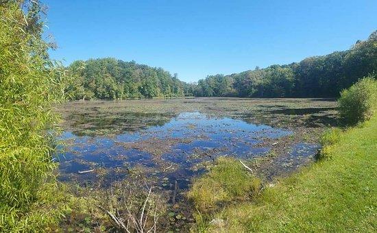 Photo by xoxokristineee