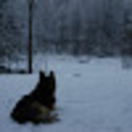 Photo of Canada54travel