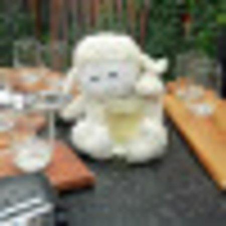 photo of F1210DSbills