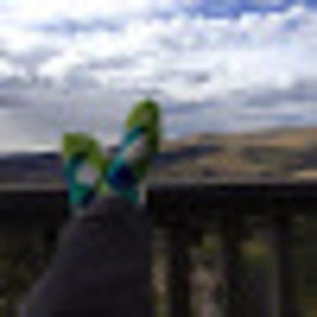 Photo of DSHBOLDLY