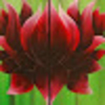 photo of mysweetdestiny