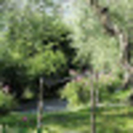 photo of Christine R